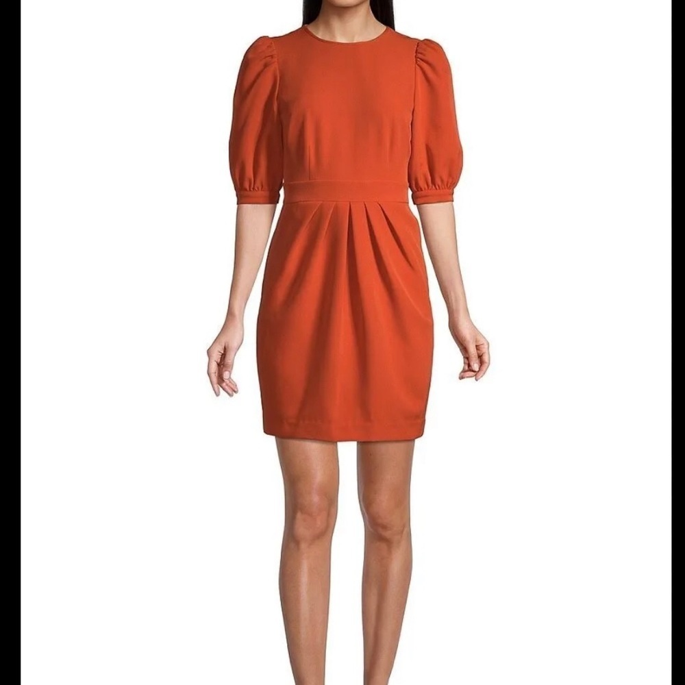 NWT Toccin Puff Sleeve Mini Dress size 2 reg $395